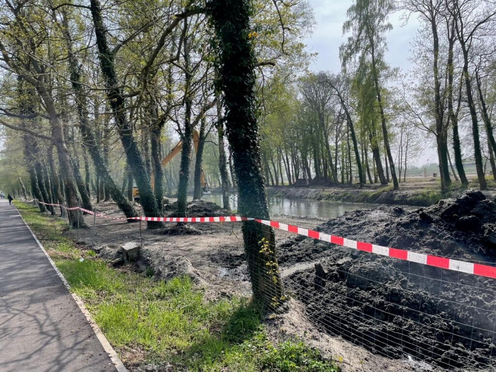 Roboty ziemne przy rzece i alei drzew