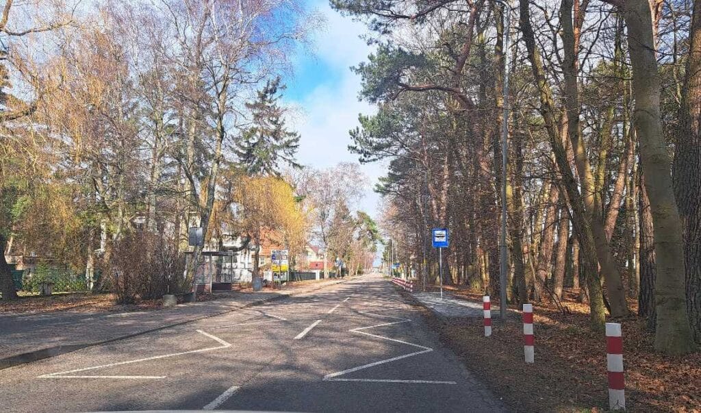 Słoneczna ulica otoczona drzewami i chodnikiem