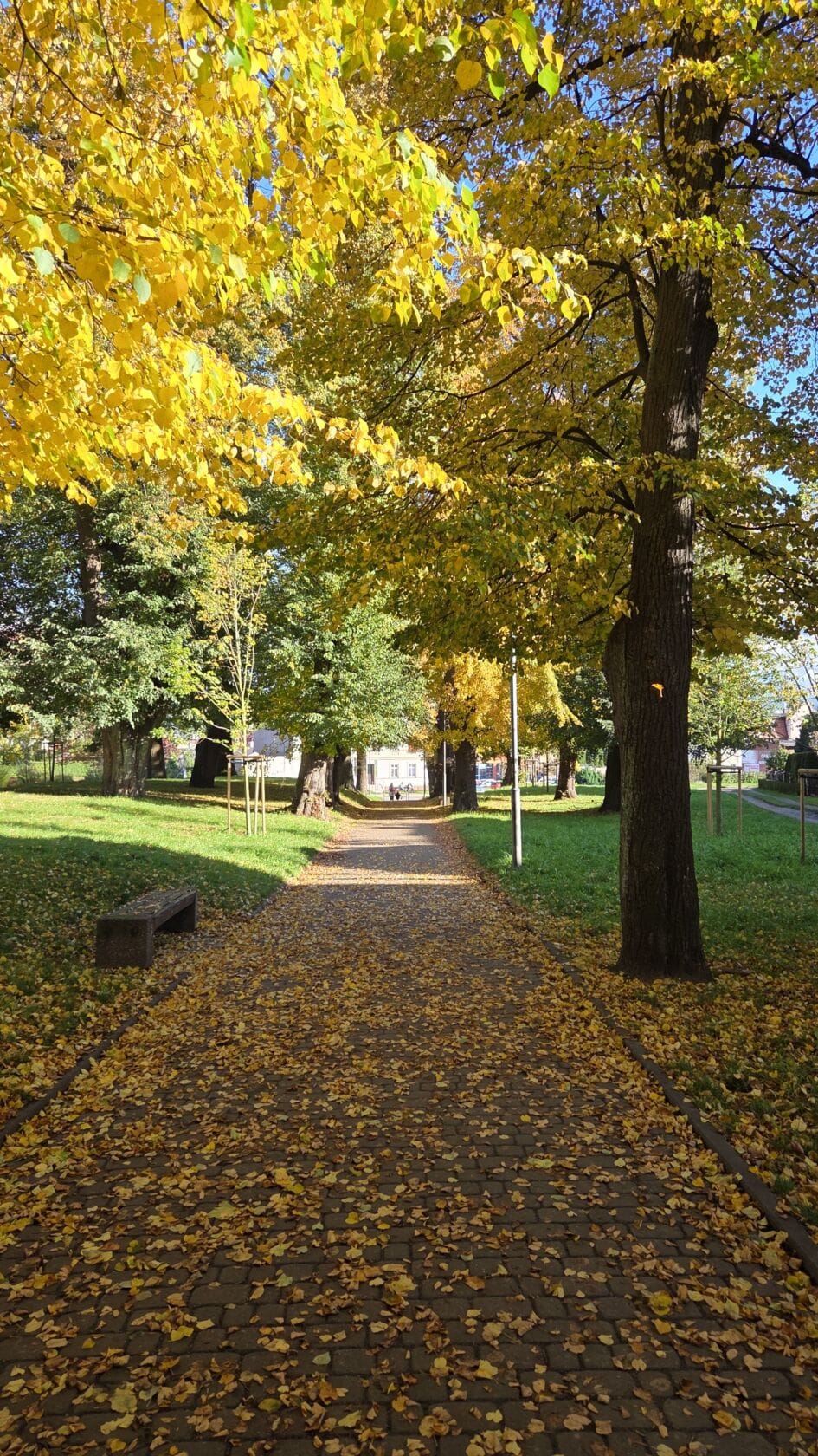 Darłowo na weekend 21-23 listopada