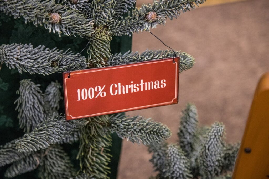 stoly wigilijne zsm 2023 11