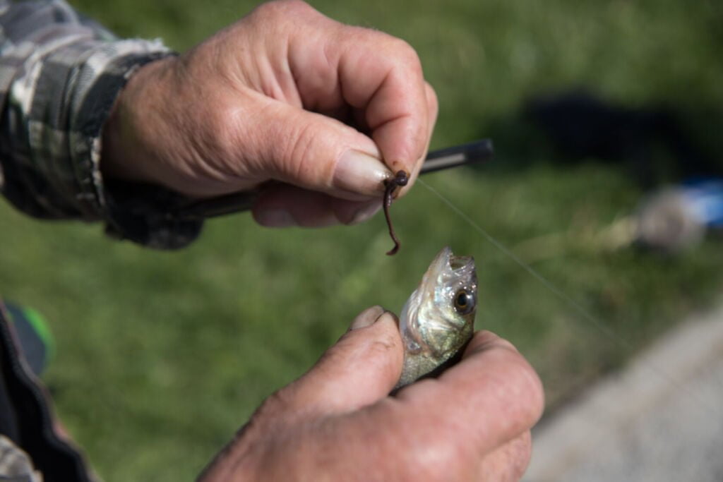 wedkarski dzien dziecka darlowo 2023 13