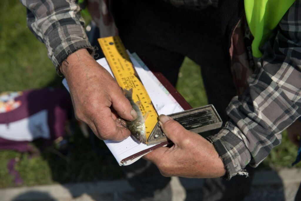 wedkarski dzien dziecka darlowo 2023 14