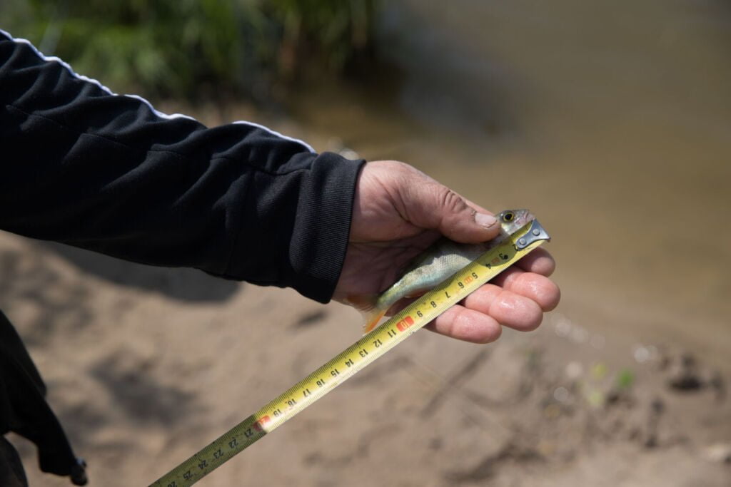 wedkarski dzien dziecka darlowo 2023 18