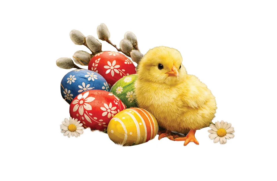 Wesołych Świąt Wielkanocnych