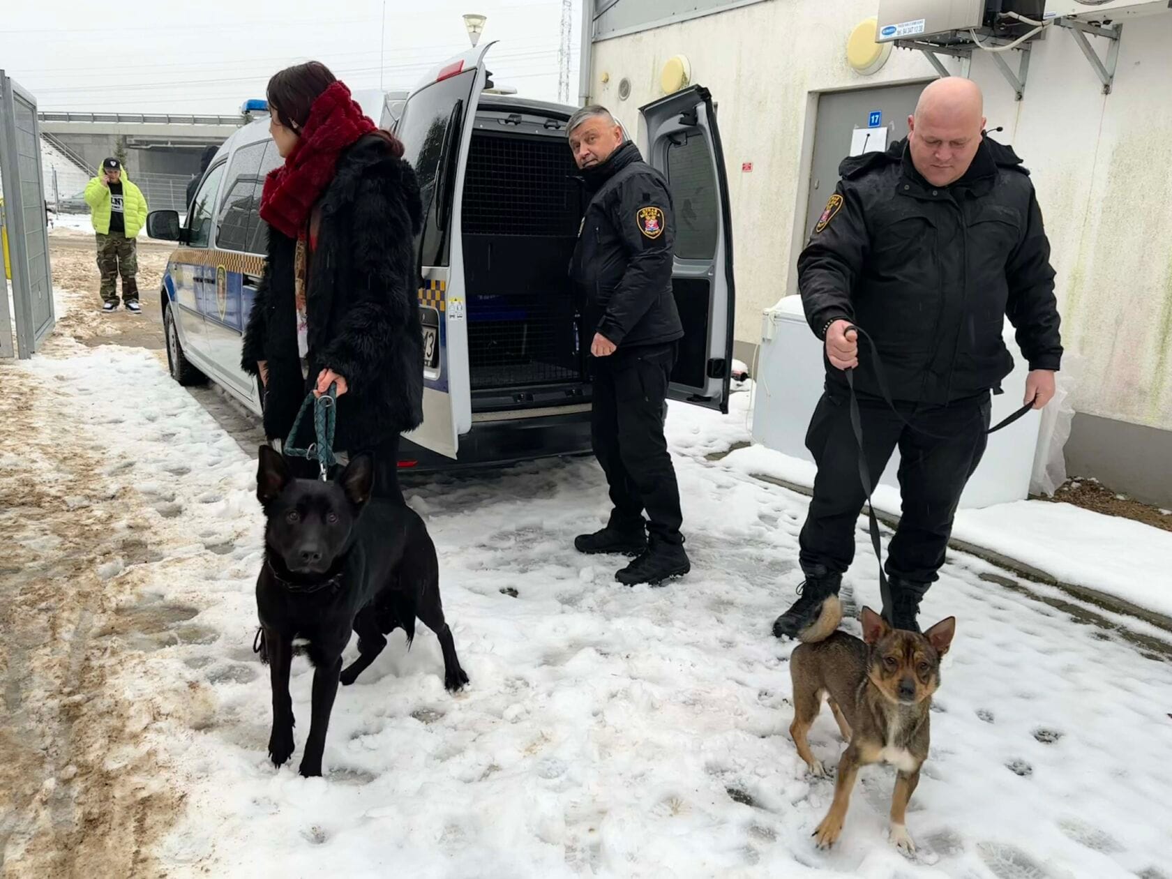 Przekazanie psów do Schroniska „Leśny Zakątek” w Koszalinie